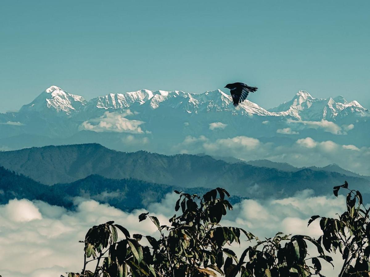 Zenoaks Homestay Almora Extérieur photo