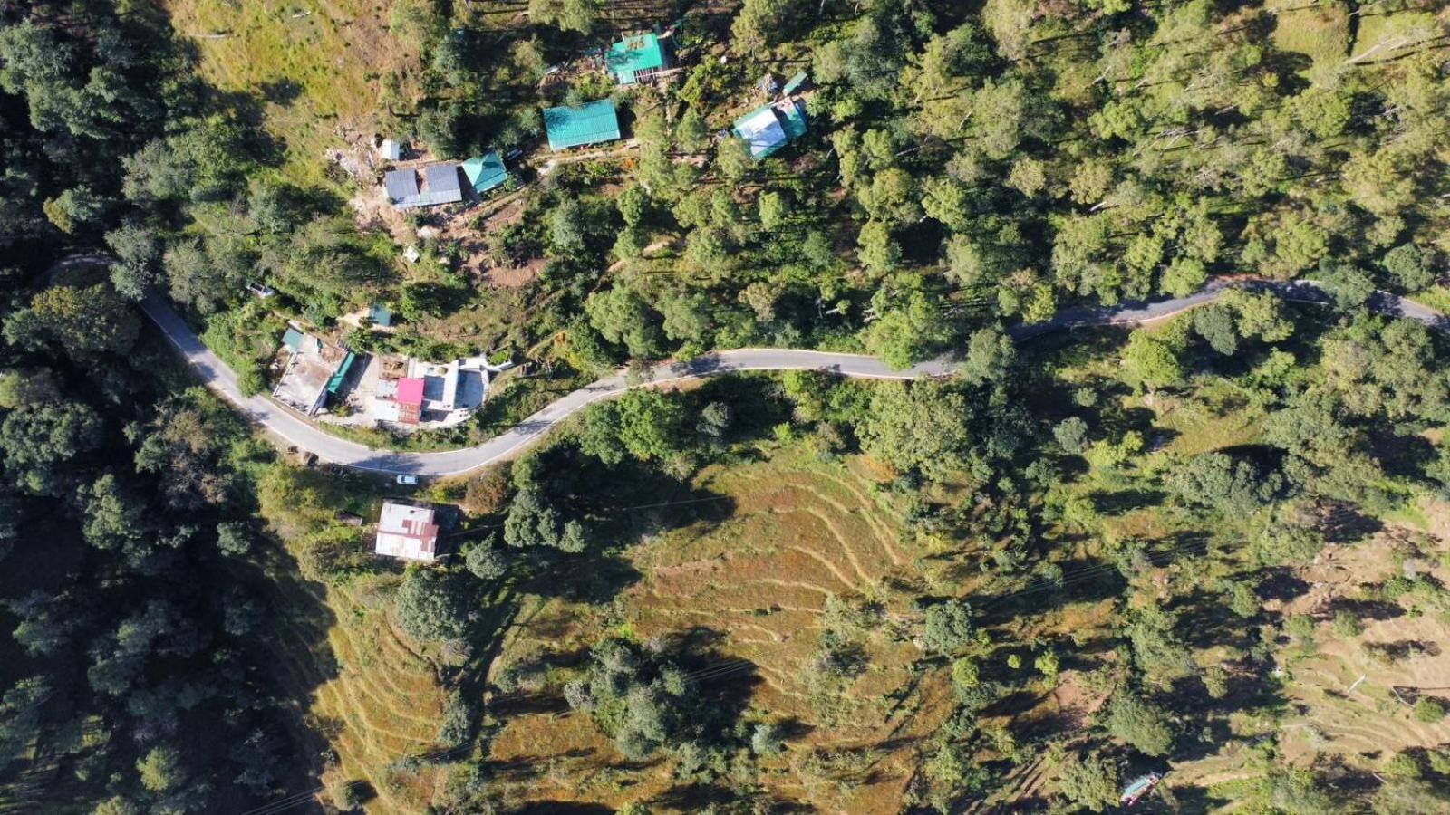 Zenoaks Homestay Almora Extérieur photo